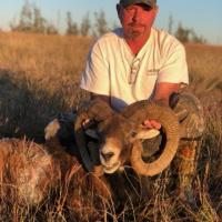 David' 133 inch Mouflon