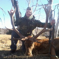 Dr. Haynes's Red Stag